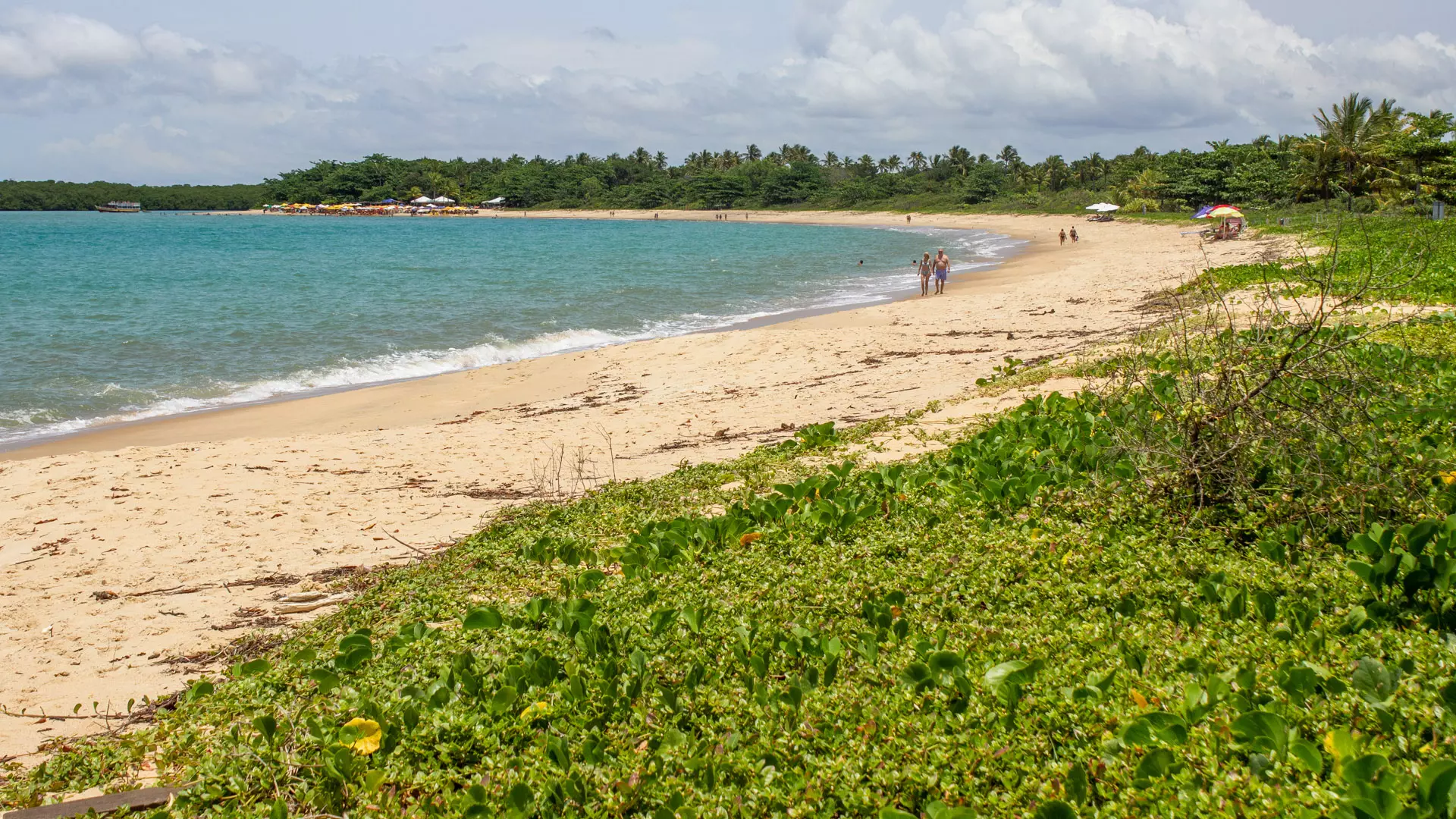 Praia vazia com areia clara, mar azul e vegetação rasteira ao lado, ideal para um Carnaval sossegado.